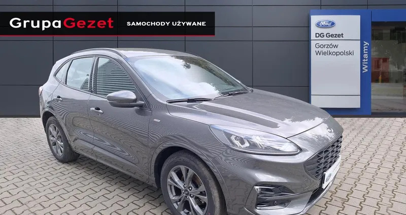 samochody osobowe Ford Kuga cena 124900 przebieg: 16425, rok produkcji 2022 z Puck